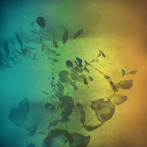 WIZZARD 2023AW COLLECTION『PRINT FABRIC』