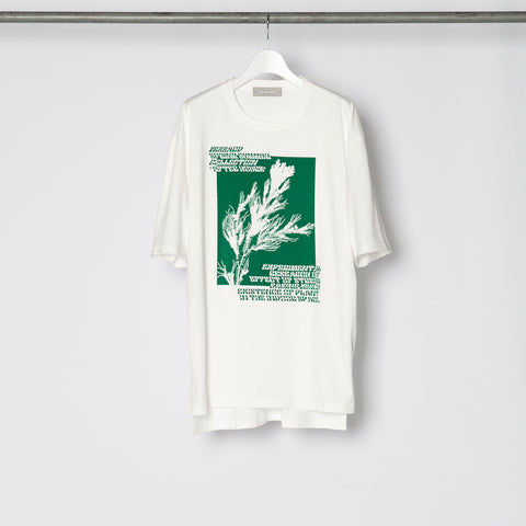 GRAPHIC T-SHIRT "PLANT"